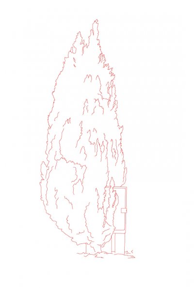some drawings have a title